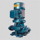 RB Pump Models 240V 1 phase 4 Pole Motor